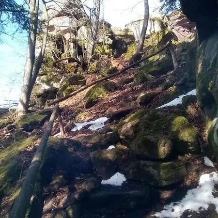 Sykorka