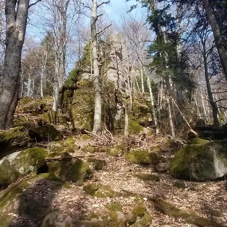 Sykorka Ihrac