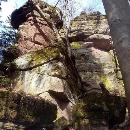 Sykorka Ihrac
